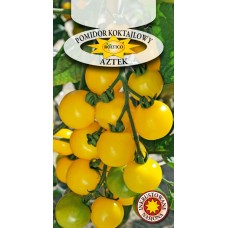 Насіння Томату Азтек  0,3г ТМ ROLTICO