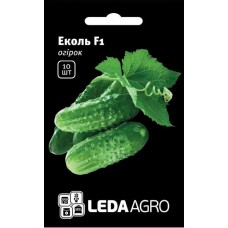 Насіння Огірка  Еколь F1 10шт ТМ LEDAAGRO