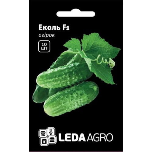 Насіння Огірка  Еколь F1 10шт ТМ LEDAAGRO