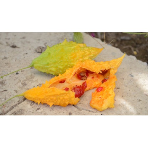 Насіння Момордики Найя 1г ТМ Велес 