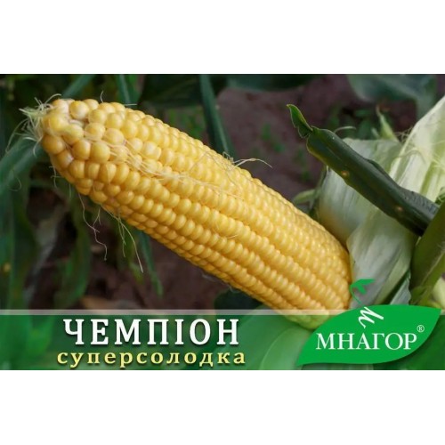Насіння Кукурудзи цукрова Чемпіон F1 200шт ТМ МНАГОР