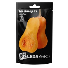 Насіння Гарбуза  Матильда F1 5шт LEDAAGRO