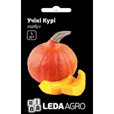 Насіння Гарбуза Учікі Курі F1 5шт ТМ LEDAAGRO