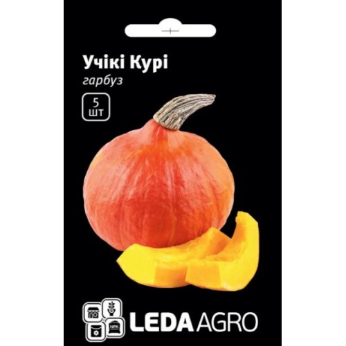 Насіння Гарбуза Учікі Курі F1 5шт ТМ LEDAAGRO