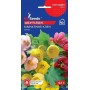 Насіння Абутілону Кімнатний клен суміш 0,1г ТМ GLSEEDS