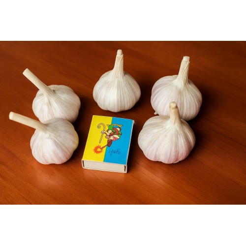 Часник озимий Любаша Україна 1 кг(ФРАКЦІЯ 3-4) Часник озимий Любаша Україна 1 кг(ФРАКЦІЯ 3-4)