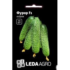 Насіння огірка Фурор F1 10шт ТМ LEDAAGRO