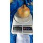 Озима цибуля саджанка Шекспір 1кг  Голландія Top Onion 
