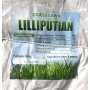 Насіння газонної трави Ліліпут 10кг ТМ Green Field RasenSamen