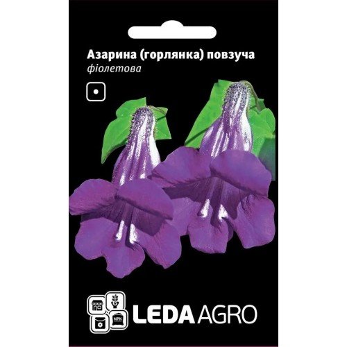 Насіння Азаріни повзуча Фіолетова 4шт LEDAAGRO