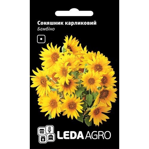 Насіння Соняшника карликовий Бамбіно 0,5г LEDAAGRO