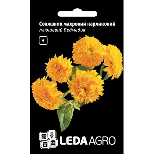 Насіння Соняшника махровий Плюшевий ведмедик 1г LEDAAGRO