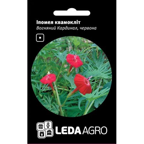 Насіння Іпомеї квамокліт Вогняний кардинал 0,5г LEDAAGRO