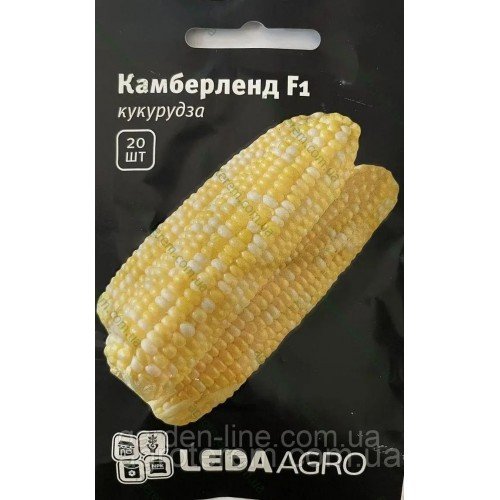 Насіння Кукурудзи Камберленд F1 20шт ТМ LEDAAGRO 