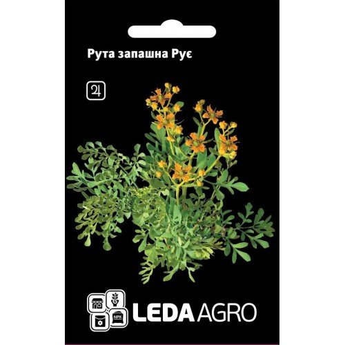 Насіння Рути запашної Руе 0,2 г LEDAAGRO