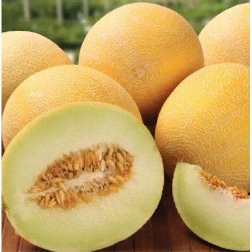 Насіння дині Ананас 0,5 г ТМ LEDAAGRO