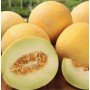 Насіння дині Ананас 0,5 г ТМ LEDAAGRO