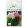 Насіння кортадерії Пампаське перо суміш 0,02г ТМ Професійне насіння Насіння кортадерії Пампаське перо суміш 0,02г ТМ Професійне насіння