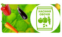 Насіння овочів