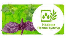 Насіння Пряних  культур