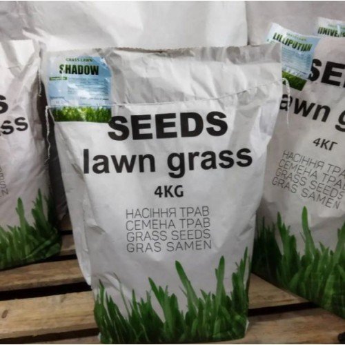 Насіння газонної трави Тіньова 4кг ТМ Green Field RasenSamen