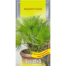 Насіння Вашингтонії (пальма кімнатна) 5шт ТМ SeedEra