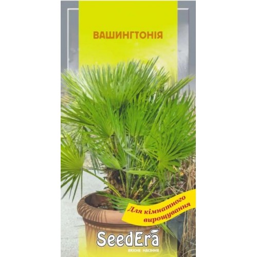 Насіння Вашингтонії (пальма кімнатна) 5шт ТМ SeedEra