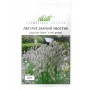 Насіння лагурус Заячий хвостик 0,3г ТМ Професійне насіння Насіння лагурус Заячий хвостик 0,3г ТМ Професійне насіння