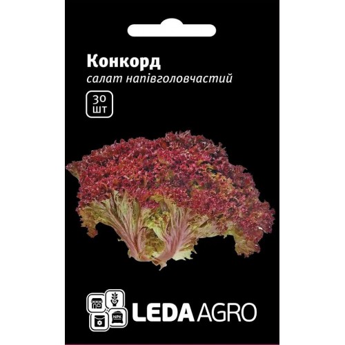 Насіння Салату Лолло роса Конкорд 30шт ТМ LEDAAGRO