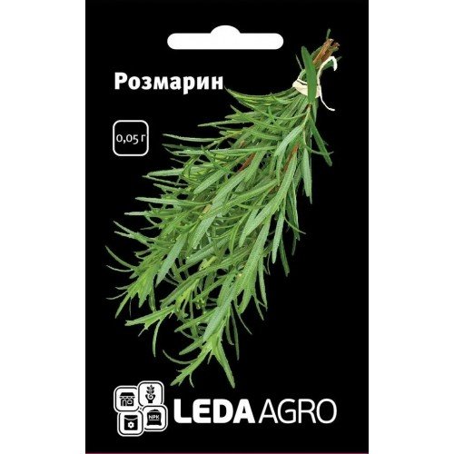 Насіння Розмарину 0,05г ТМ LEDAAGRO