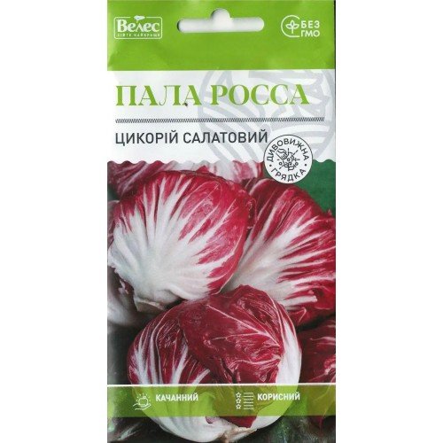 Насіння Цикорію салатний Палла Росса 1г ТМ Велес