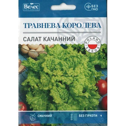 Насіння салату Травнева Королева 5г МАКСІ ТМ Велес