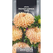 Насіння айстри  високоросла піоновидна Шамоіс Турм 0,25 ТМ SeedEra