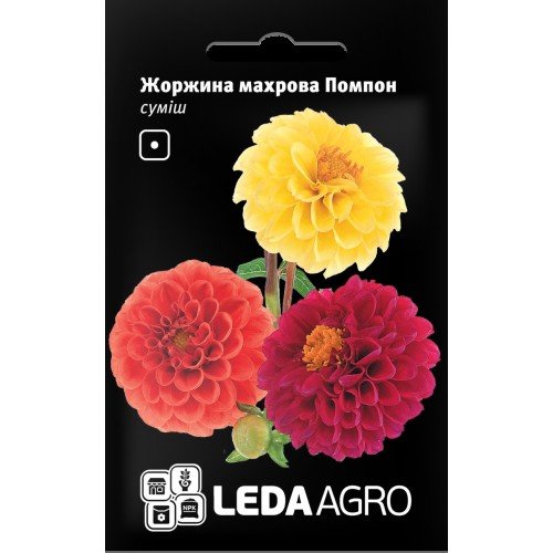 Насіння Жоржини махрова Помпон 0,2г LEDAAGRO