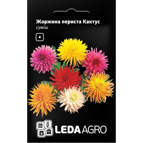 Насіння Жоржини Кактус 0,2г LEDAAGRO