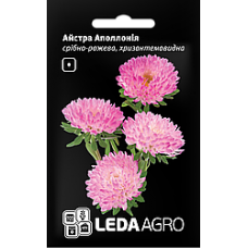 Насіння Айстри хризантемовидна Аполлонія сріблясто-рожева 0,2г LEDAAGRO