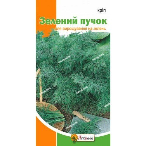 Насіння кропу кущового Зелений пучок 2,5г ТМ ЯСКРАВА