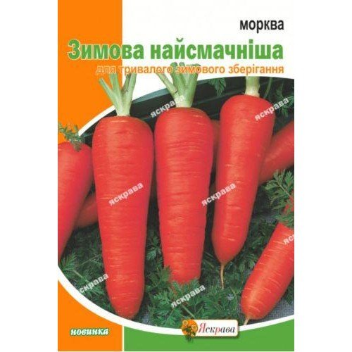 Насіння моркви Зимова Найсмачніша 10г ТМ ЯСКРАВА