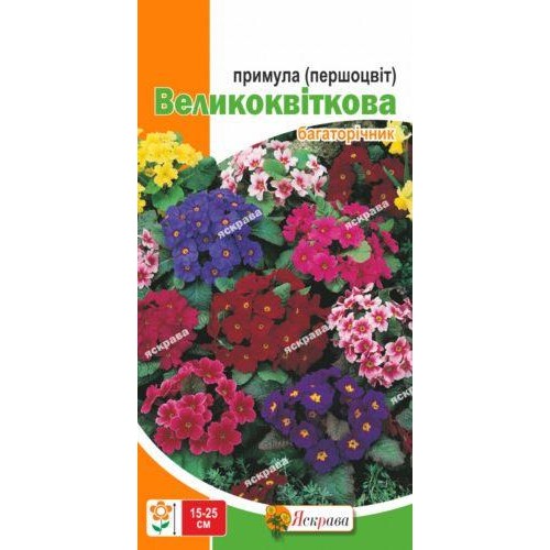 Насіння Першоцвіт великоквітковий (примула) суміш 0,1г ТМ ЯСКРАВА