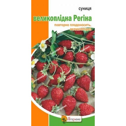 Насіння суниці Регіна гігантська 0,1г ТМ ЯСКРАВА