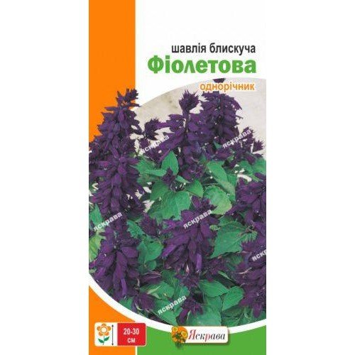 Насіння шавлії блискучої Фіолетова 0,2г ТМ ЯСКРАВА