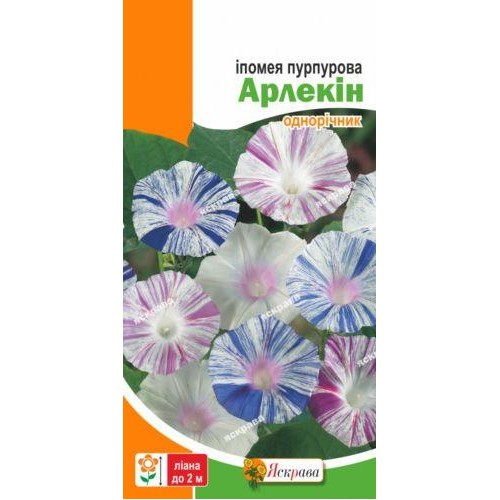 Насіння іпомеї пурпурової Арлекін 0,5г ТМ ЯСКРАВА