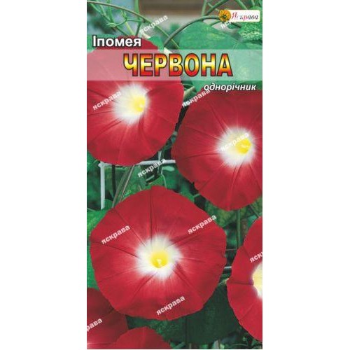 Насіння іпомеї пурпурової Червона 1г ТМ ЯСКРАВА