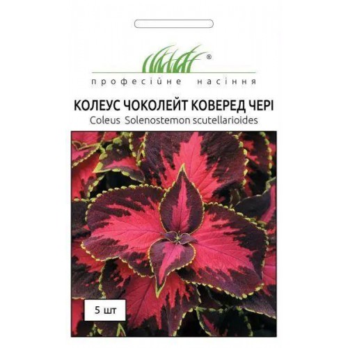 Насіння колеуса Блюма Чоколейт коверед чері 5шт ТМ Професійне насіння