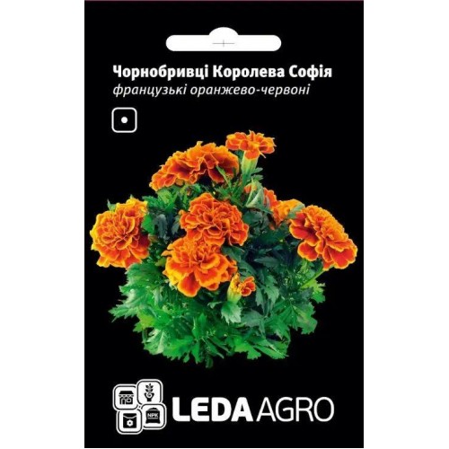 Насіння Чорнобривців Королева Софія 0,25г ТМ LEDAAGRO