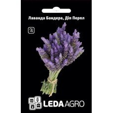 Насіння Лаванди Діп Перл 5шт ТМ LEDAAGRO