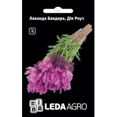 Насіння Лаванди Бандера Діп роуз 5шт ТМ LEDAAGRO