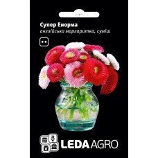 Насіння Стокротки (Маргаритка) Супер Енорма 0,02 г ТМ LEDAAGRO