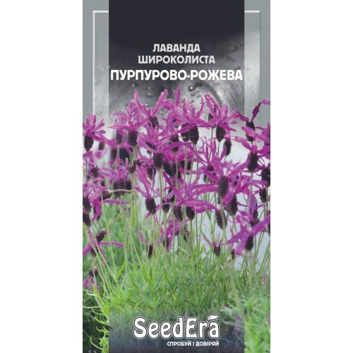 Насіння лаванди широколиста Пурпурово-рожева 0,1г ТМ SeedEra