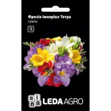 Насіння фрезії Імперіал Тетра суміш 0,05г ТМ LEDAAGRO